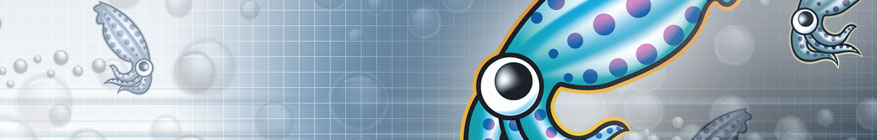 Calamar de Squid Proxy
