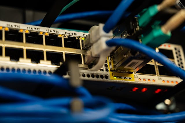 Cables Ethernet conectados a un switch de red, mostrando la infraestructura típica de una LAN